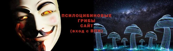 молекула духа Балахна
