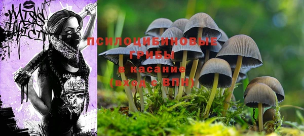 PSILOCYBIN Балабаново