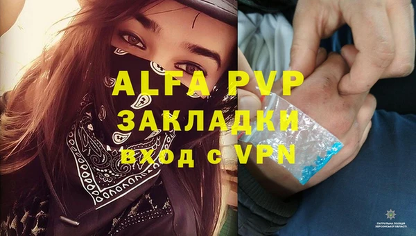 PSILOCYBIN Балабаново