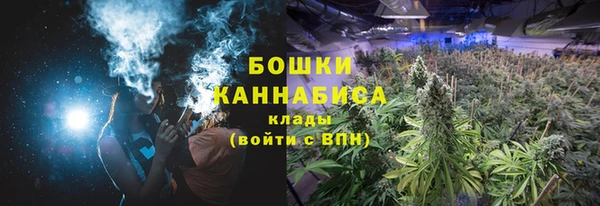 PSILOCYBIN Балабаново