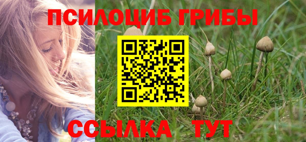 Галлюциногенные грибы GOLDEN TEACHER  дарнет шоп  Печора  Вход с VPN 