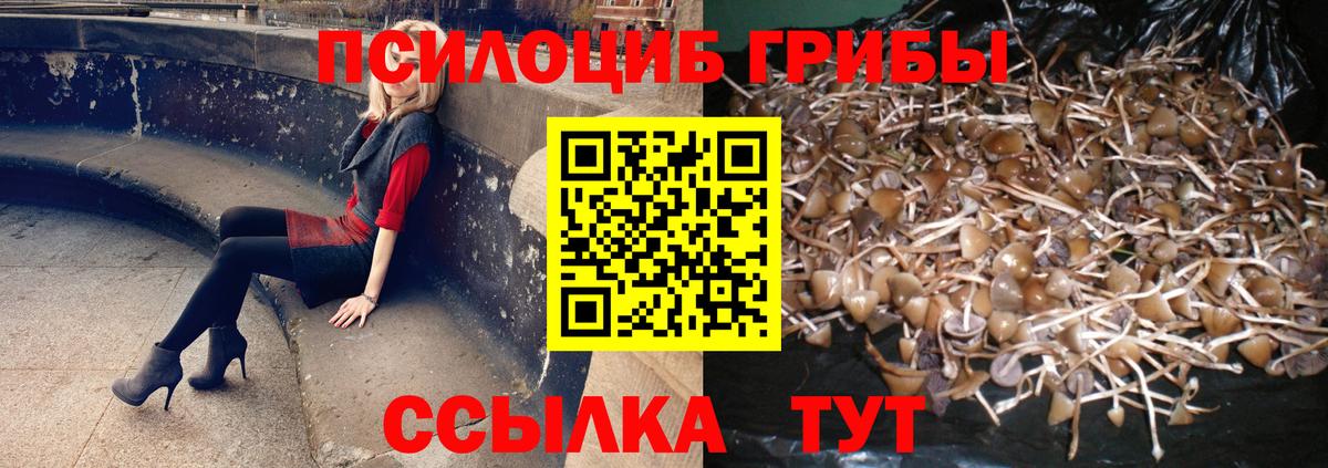 Псилоцибиновые грибы Psilocybine cubensis  цены наркотик  Печора  Вход с VPN  Псилоцибиновые грибы Psilocybe 