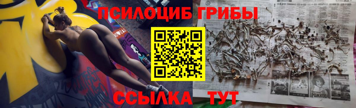 ГАШ Печора