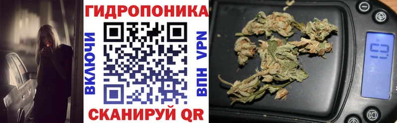 Бошки Шишки гибрид  где продают   mega онион  Печора 